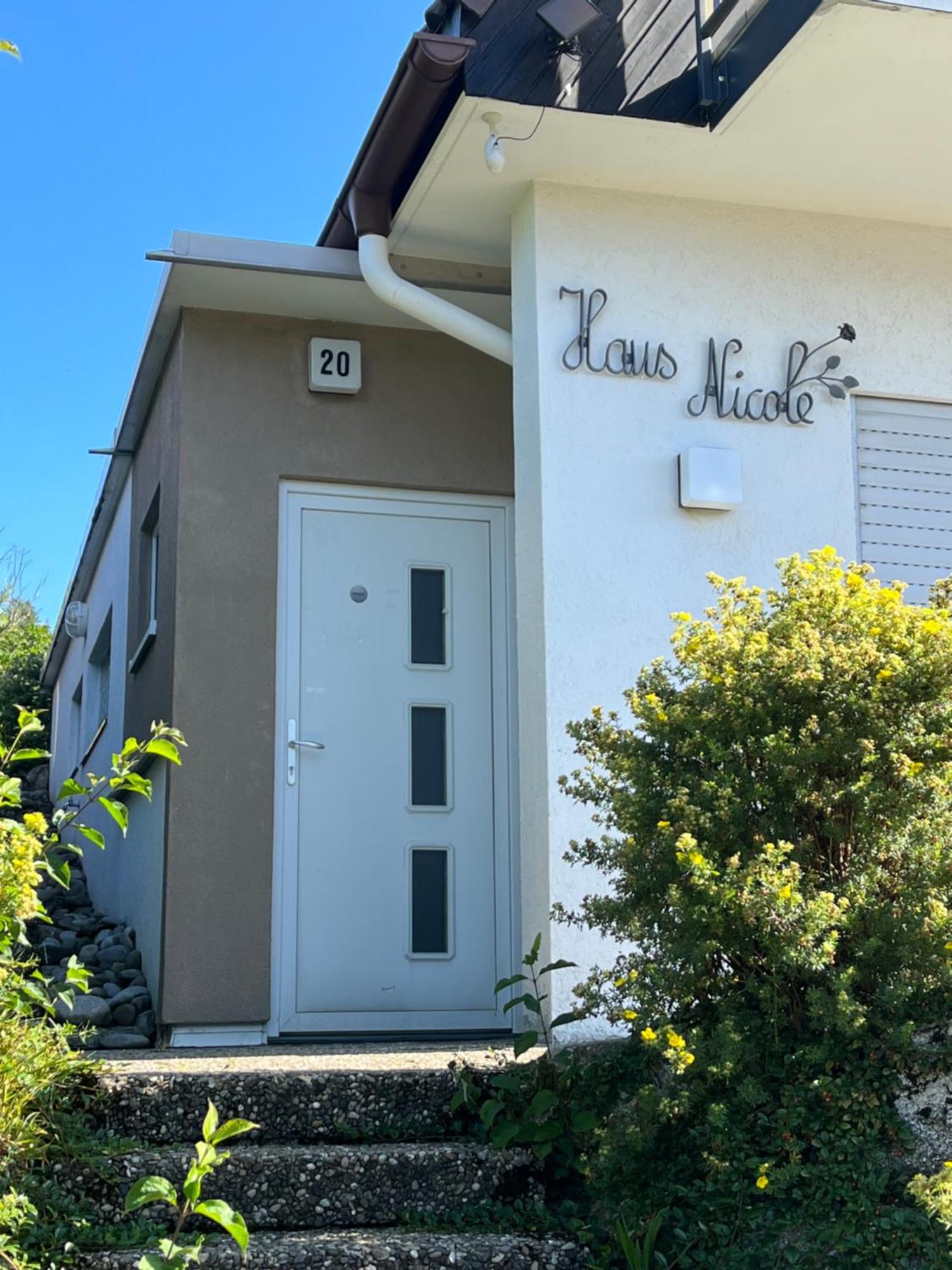 Haus Nicole Apartment Herrischried ภายนอก รูปภาพ