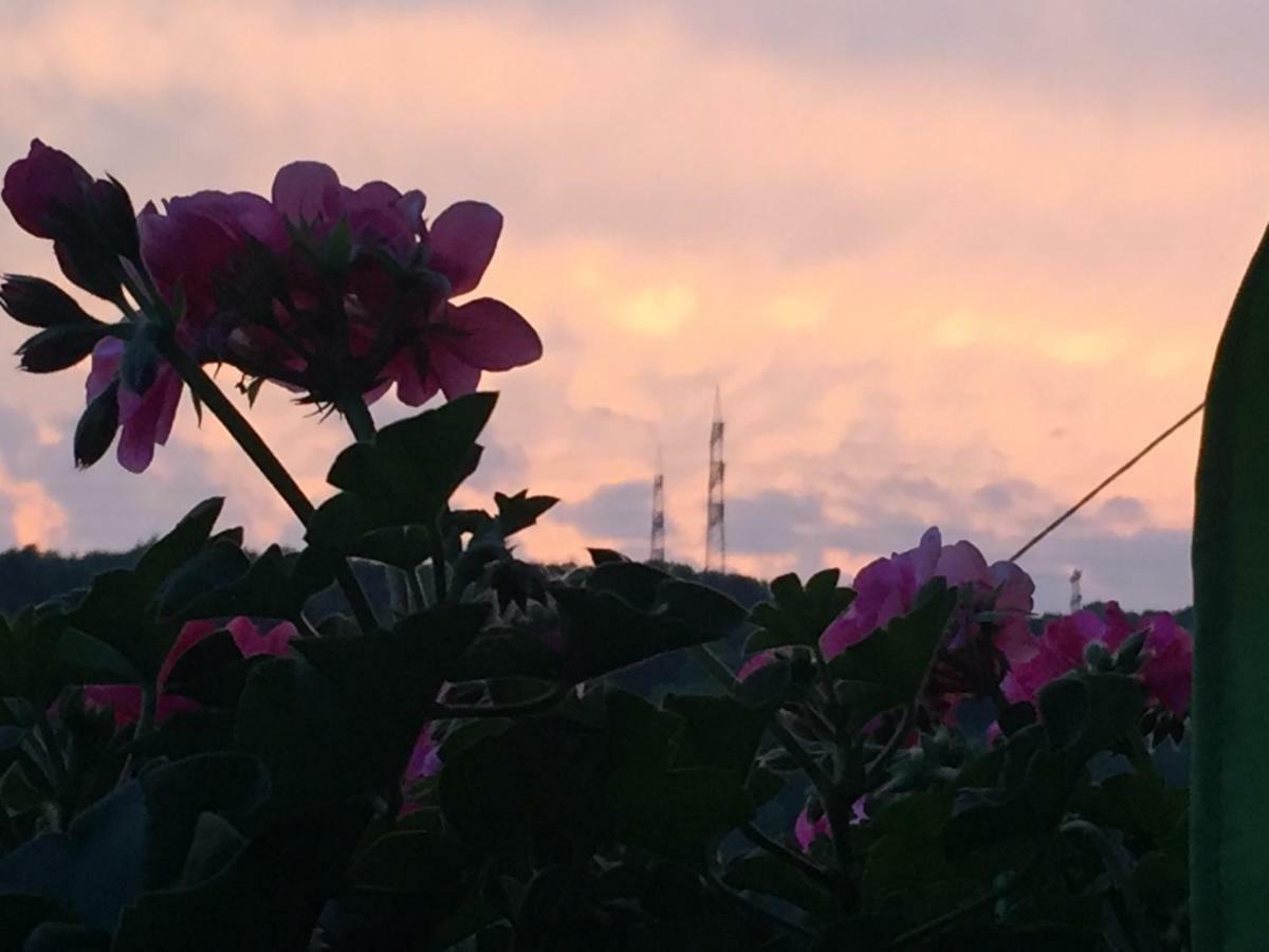 Haus Nicole Apartment Herrischried ภายนอก รูปภาพ
