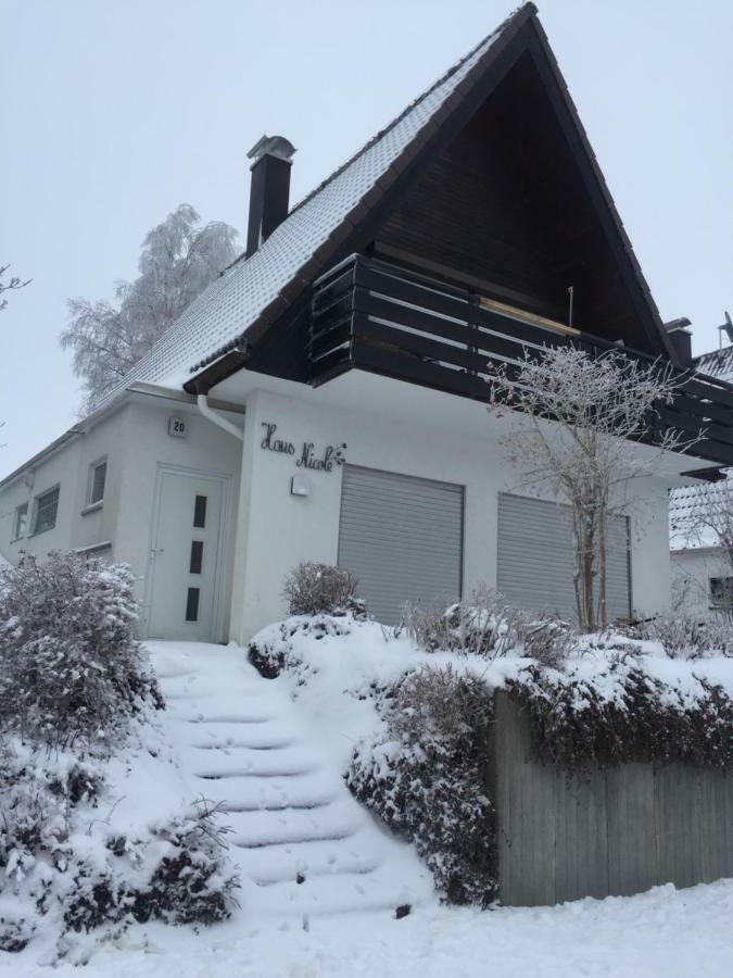 Haus Nicole Apartment Herrischried ภายนอก รูปภาพ